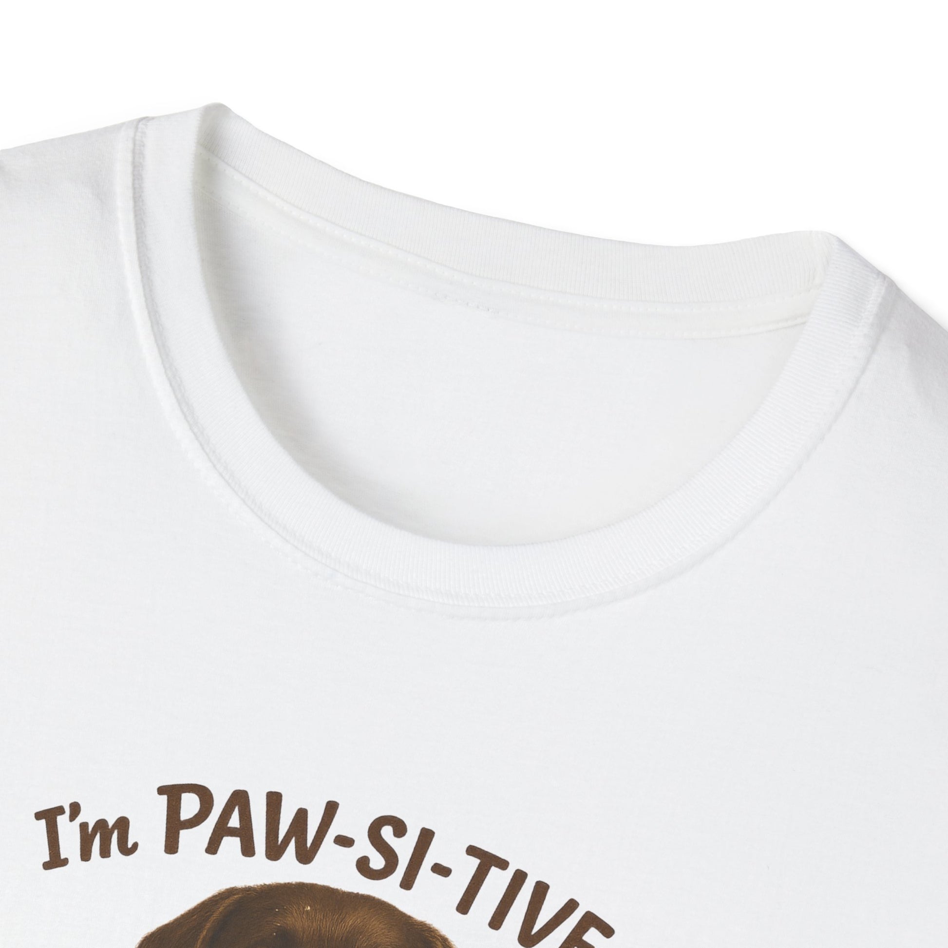 “I’m Paw-Si-Tive That You Ate The Cake!” Funny  Unisex Dog T-Shirt - Chubby Little Cheeks Co.