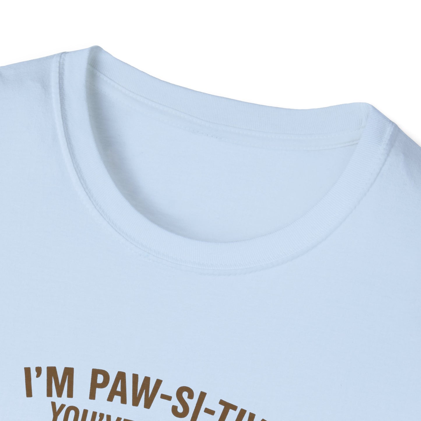 Funny Black Cat Tee – I’m Paw-si-tive You’ve Lost It, But I Love You Anyway - Chubby Little Cheeks Co.