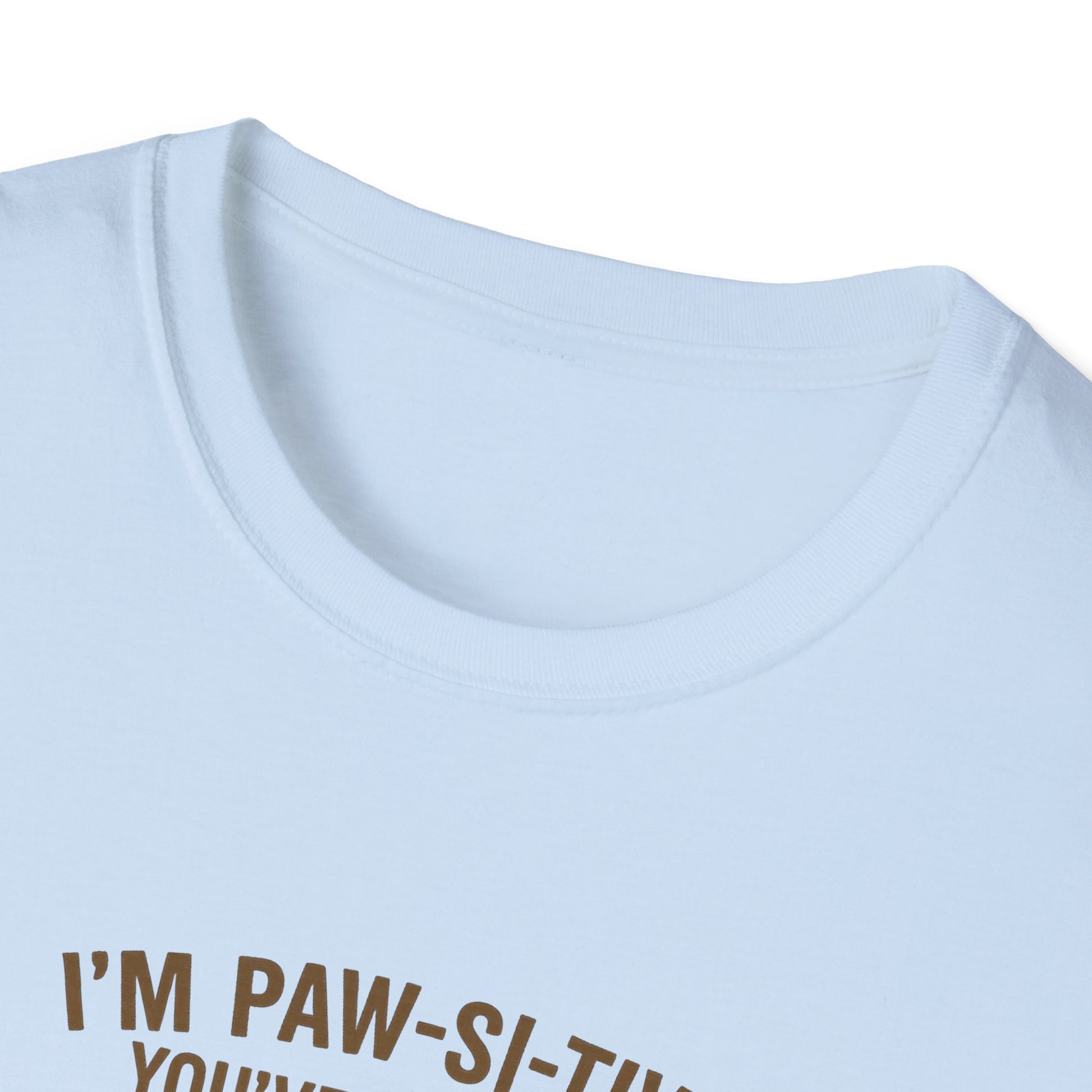 Funny Black Cat Tee – I’m Paw-si-tive You’ve Lost It, But I Love You Anyway - Chubby Little Cheeks Co.