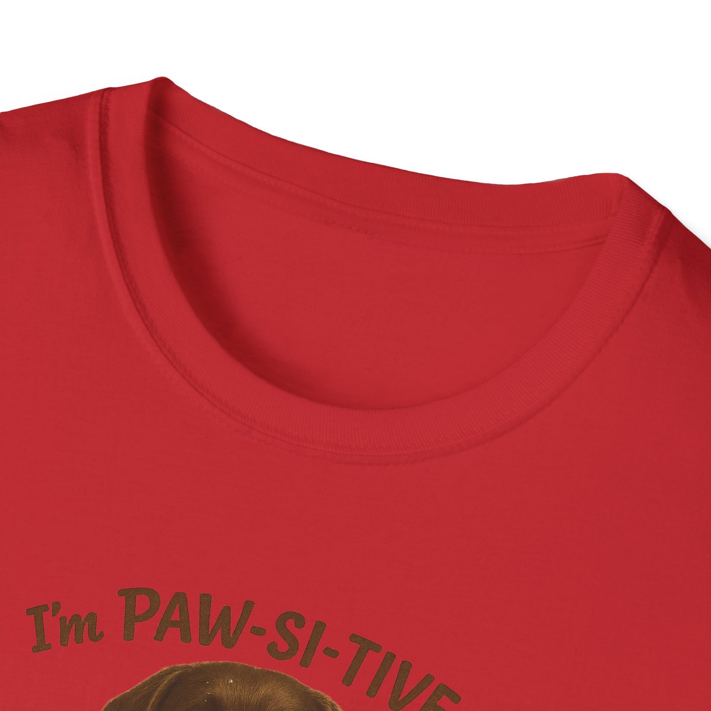 “I’m Paw-Si-Tive That You Ate The Cake!” Funny  Unisex Dog T-Shirt - Chubby Little Cheeks Co.
