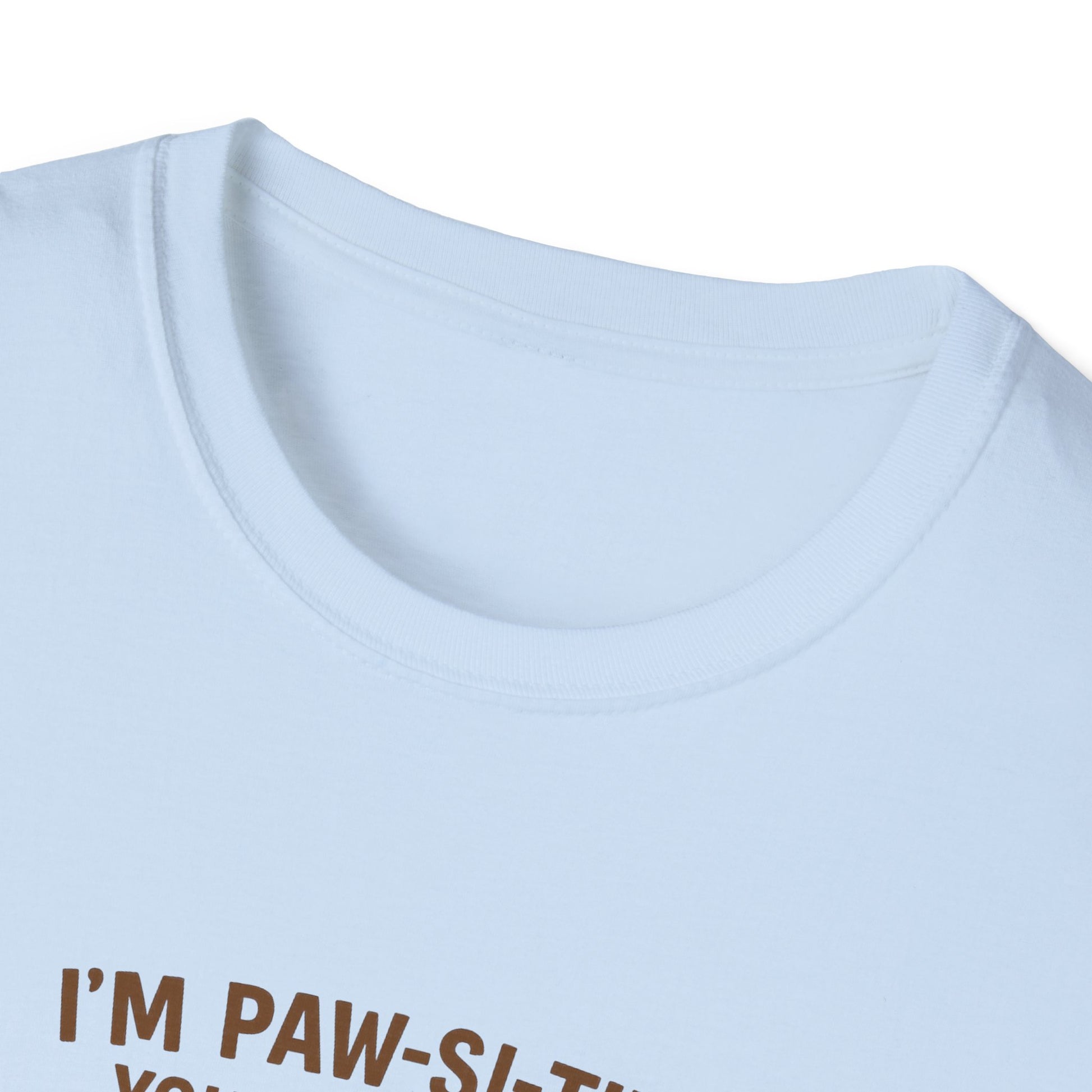 I’m Paw-si-tive You’ve Lost It Cat T-Shirt – Funny Persian Cat With Doggie Treats - Chubby Little Cheeks Co.
