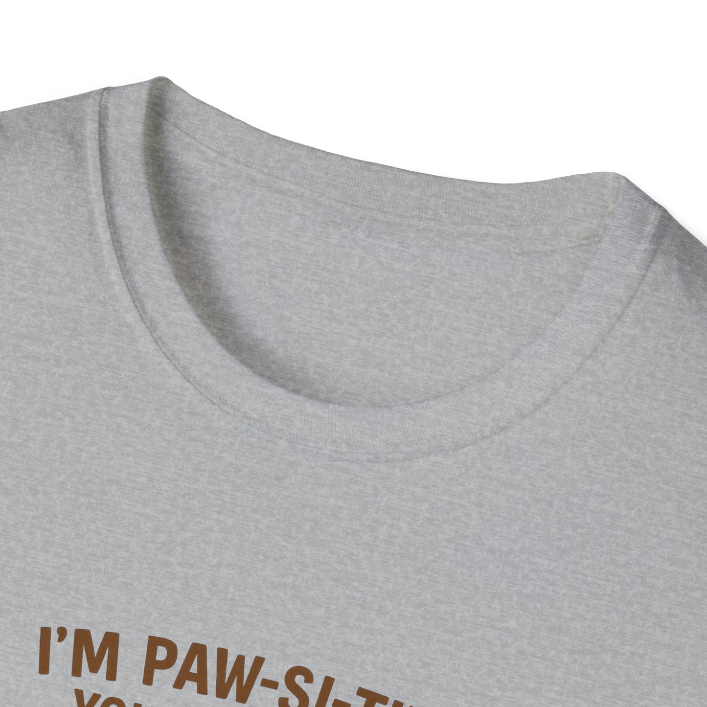 I’m Paw-si-tive You’ve Lost It Cat T-Shirt – Funny Persian Cat With Doggie Treats - Chubby Little Cheeks Co.