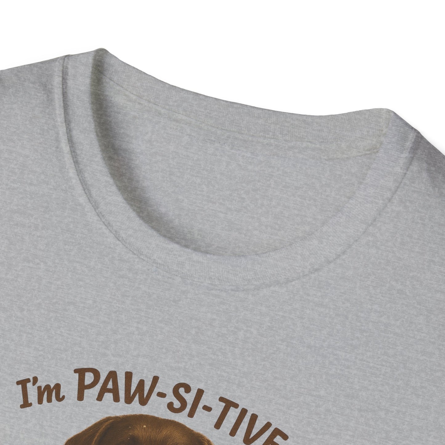 “I’m Paw-Si-Tive That You Ate The Cake!” Funny  Unisex Dog T-Shirt - Chubby Little Cheeks Co.