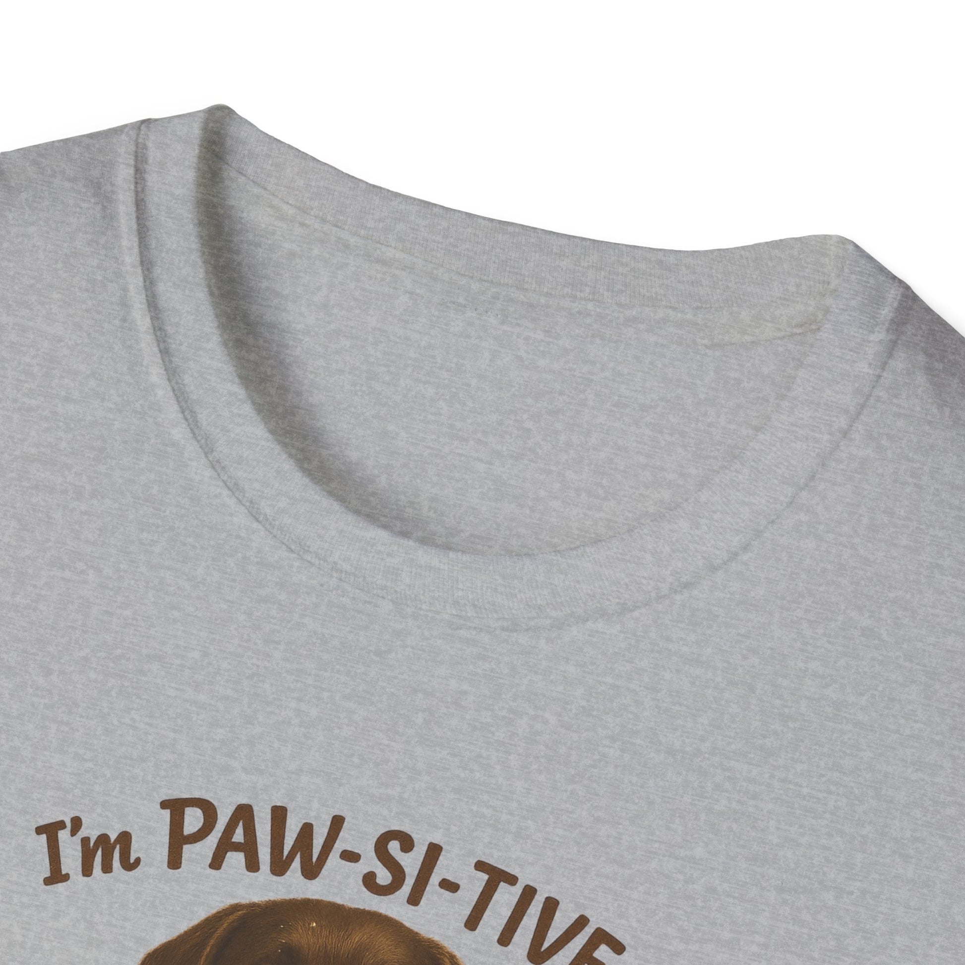 “I’m Paw-Si-Tive That You Ate The Cake!” Funny  Unisex Dog T-Shirt - Chubby Little Cheeks Co.