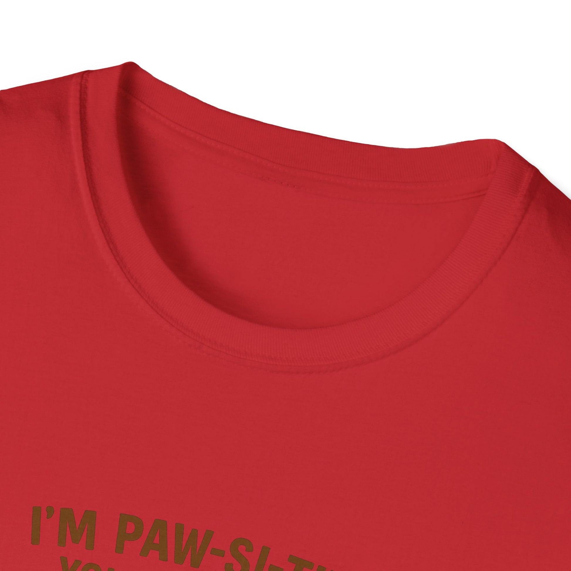I’m Paw-si-tive You’ve Lost It Cat T-Shirt – Funny Persian Cat With Doggie Treats - Chubby Little Cheeks Co.