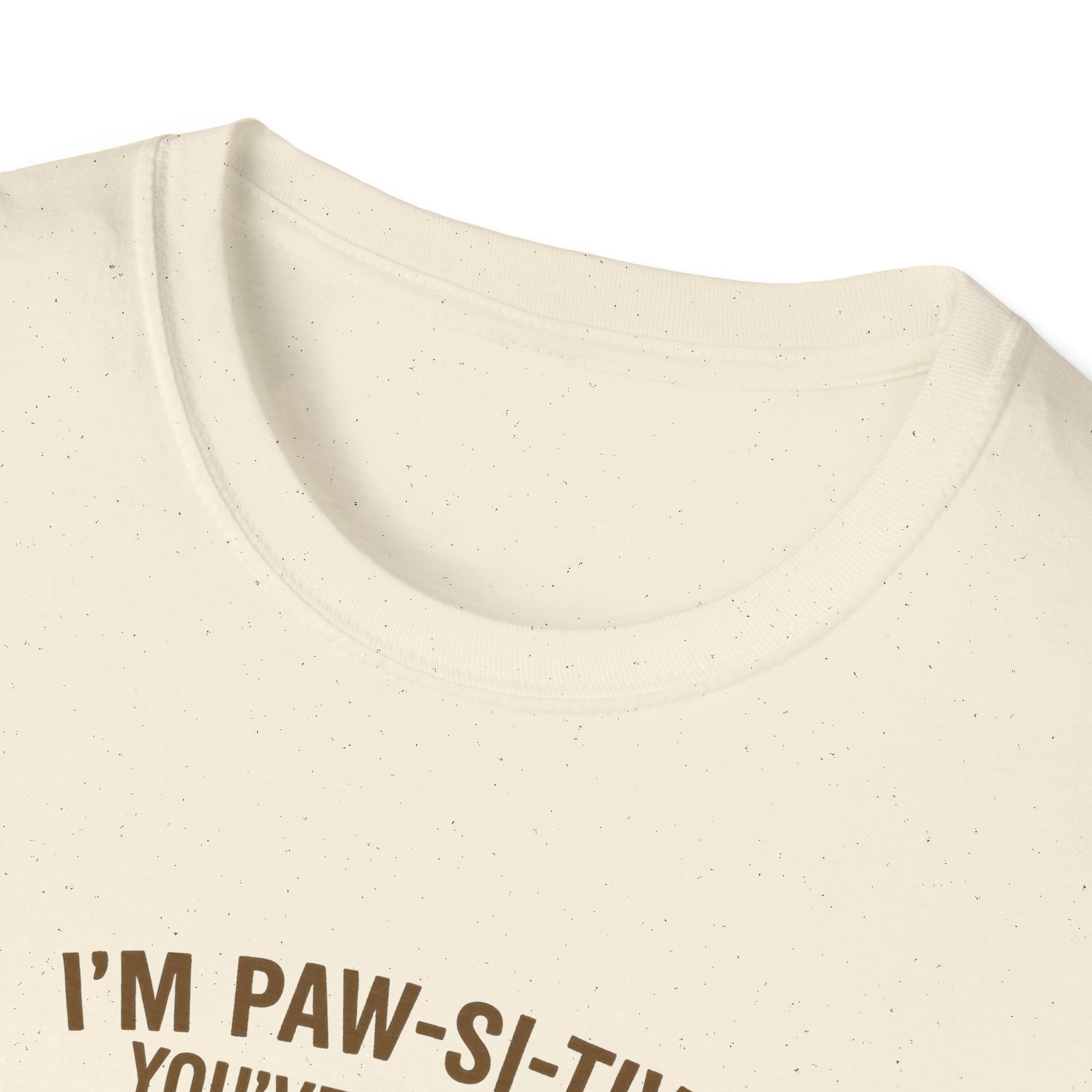 Funny Black Cat Tee – I’m Paw-si-tive You’ve Lost It, But I Love You Anyway - Chubby Little Cheeks Co.