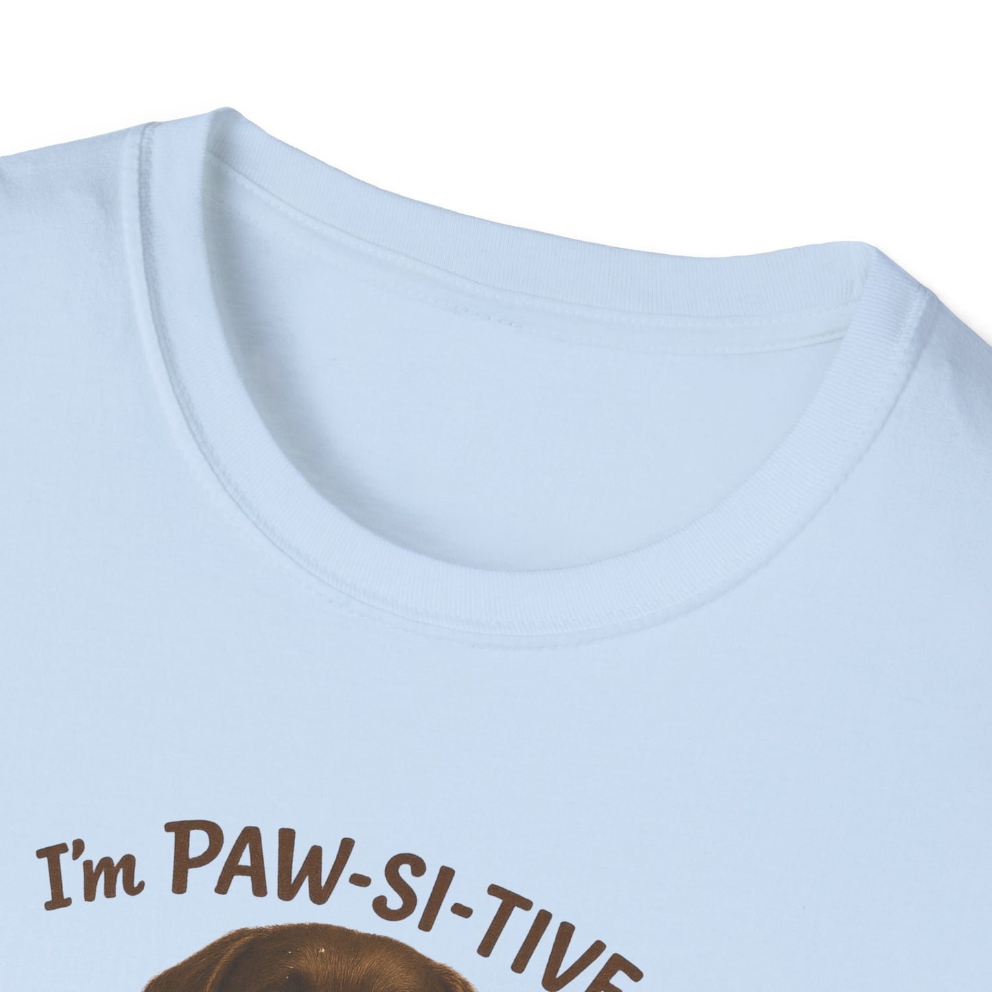 “I’m Paw-Si-Tive That You Ate The Cake!” Funny  Unisex Dog T-Shirt - Chubby Little Cheeks Co.