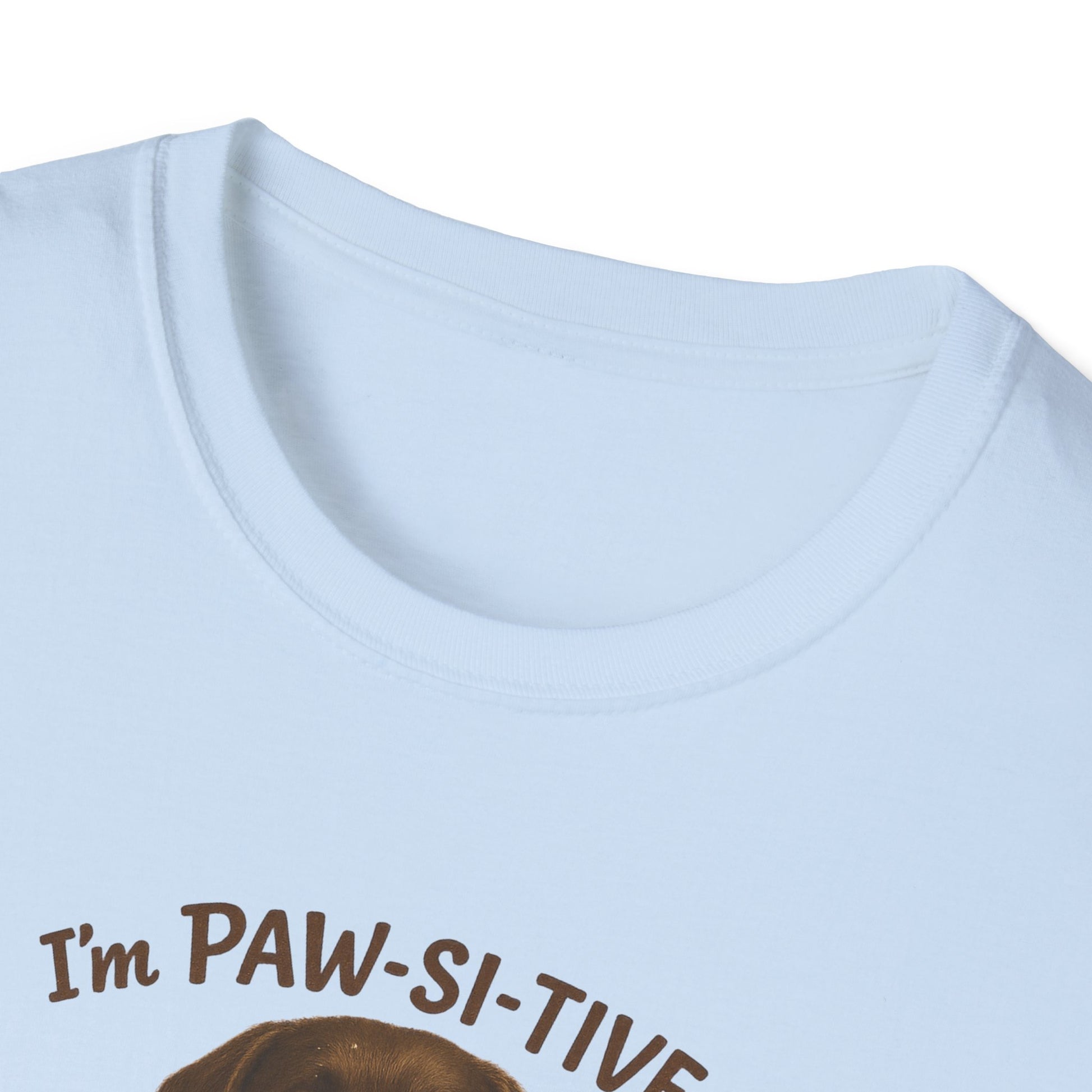“I’m Paw-Si-Tive That You Ate The Cake!” Funny  Unisex Dog T-Shirt - Chubby Little Cheeks Co.